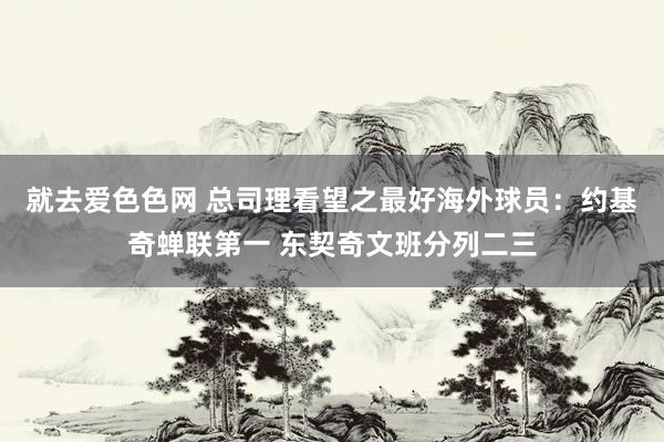 就去爱色色网 总司理看望之最好海外球员：约基奇蝉联第一 东契奇文班分列二三